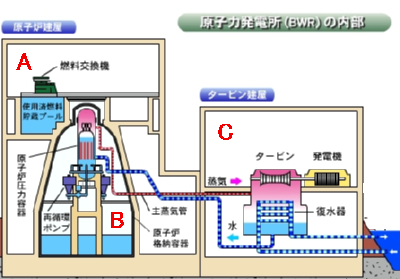 原子力発電所(BWR)の内部